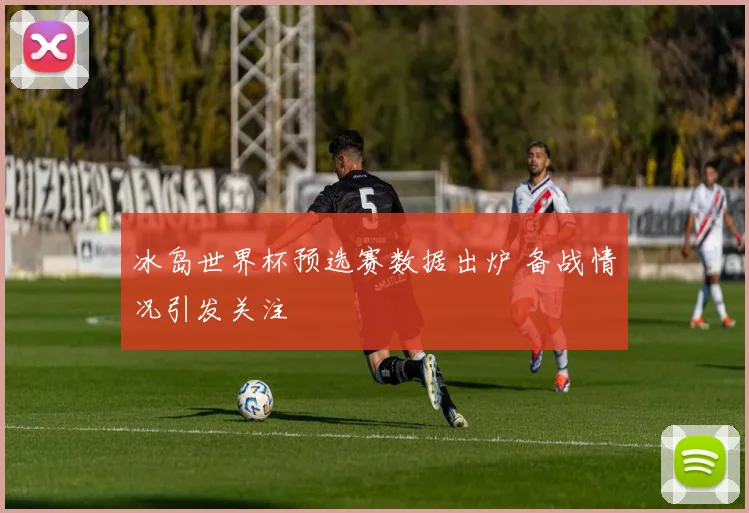 冰岛世界杯预选赛数据出炉 备战情况引发关注