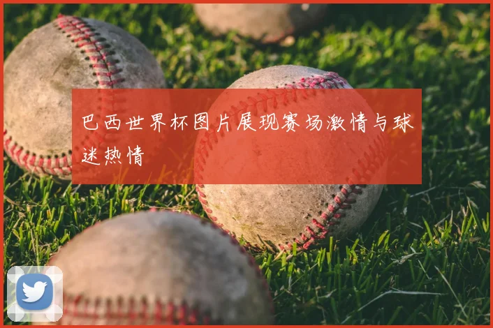 巴西世界杯图片展现赛场激情与球迷热情