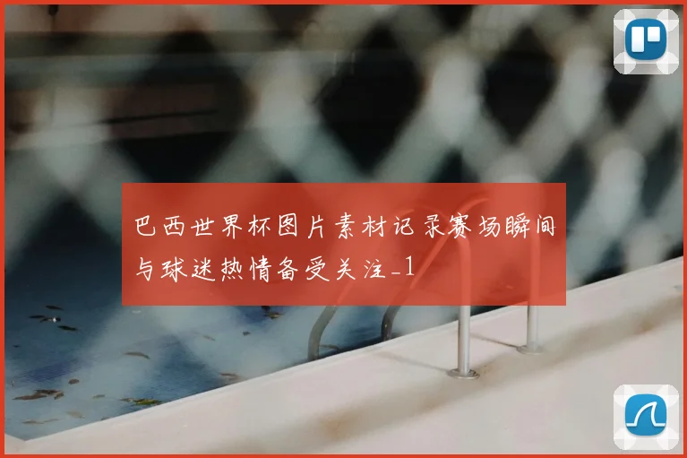 巴西世界杯图片素材记录赛场瞬间与球迷热情备受关注_1